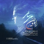 علی سالمی – راه وطن